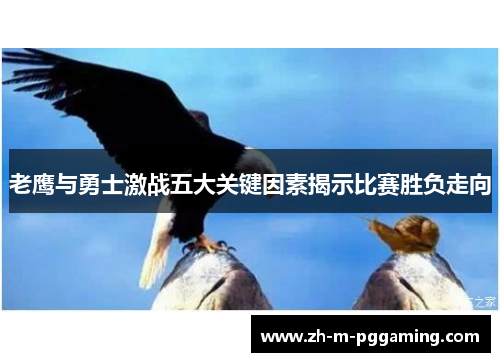 老鹰与勇士激战五大关键因素揭示比赛胜负走向