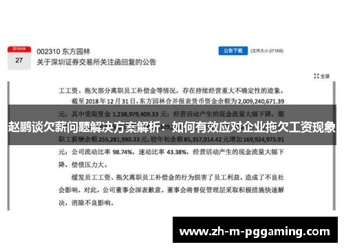 赵鹏谈欠薪问题解决方案解析：如何有效应对企业拖欠工资现象