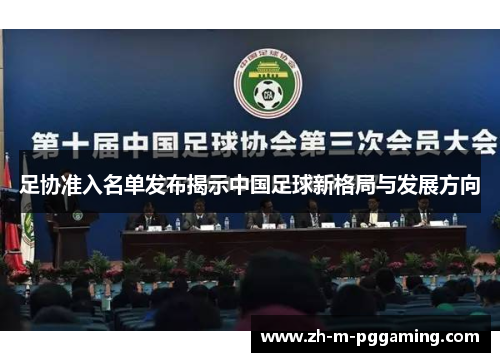 足协准入名单发布揭示中国足球新格局与发展方向