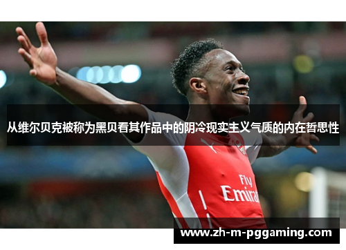 从维尔贝克被称为黑贝看其作品中的阴冷现实主义气质的内在哲思性