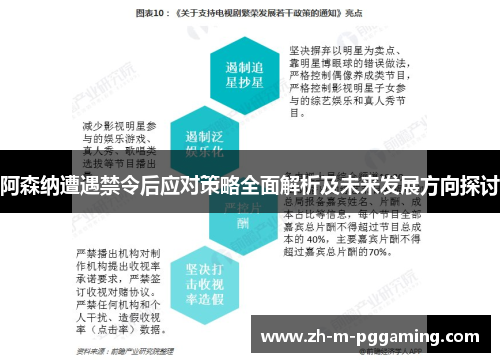 阿森纳遭遇禁令后应对策略全面解析及未来发展方向探讨