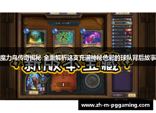 魔力鸟传奇揭秘 全面解析这支充满神秘色彩的球队背后故事