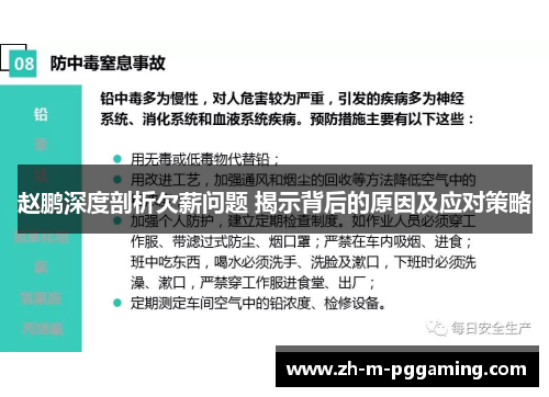 赵鹏深度剖析欠薪问题 揭示背后的原因及应对策略 赵鹏深度剖析欠薪问题 揭示背后的原因及应对策略