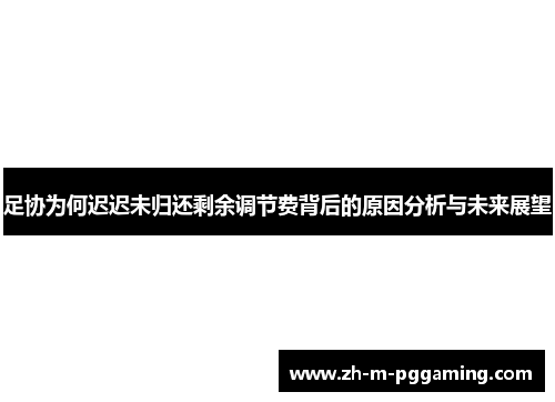 足协为何迟迟未归还剩余调节费背后的原因分析与未来展望