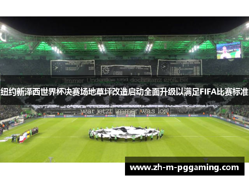 纽约新泽西世界杯决赛场地草坪改造启动全面升级以满足FIFA比赛标准 纽约新泽西世界杯决赛场地草坪改造启动全面升级以满足FIFA比赛标准