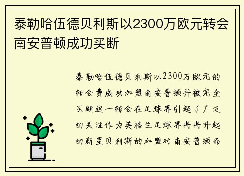 泰勒哈伍德贝利斯以2300万欧元转会南安普顿成功买断