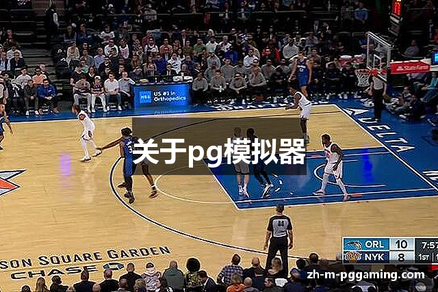 关于pg模拟器